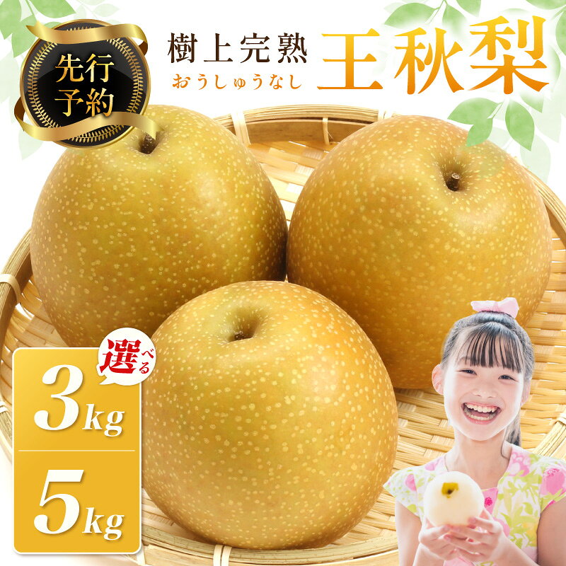 【ふるさと納税】【先行予約】樹上完熟 王秋梨 3kg(5～8個) 5kg(7～12個)（2026年12月上旬～発送） 選べる 内容量 果物 梨 王秋 国産 先行予約 期間限定 ふるさと納税 フルーツ ふるさと納税 なし ふるさと納税 梨 農家直送 果樹園直送 生産者応援 農家応援 送料無料