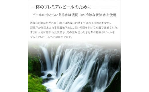 24缶<アルト> THE軽井沢ビール  クラフトビール 地ビール