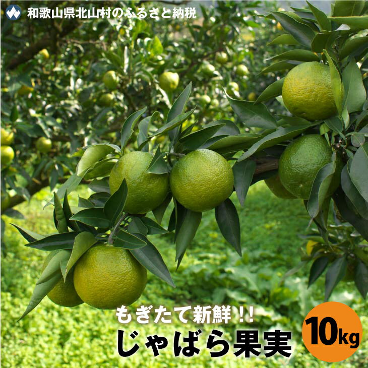 【ふるさと納税】 【期間限定】季節限定のフレッシュな味わい★じゃばら果実（10キロ）※2025年11月下旬より順次発送予定、お届け日指定不可