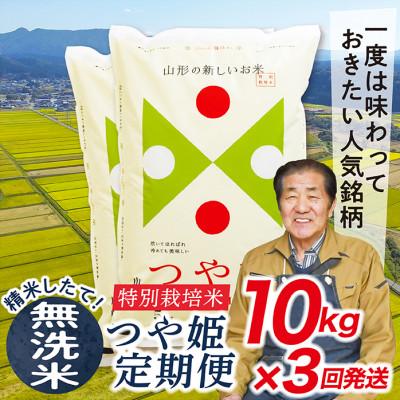 ふるさと納税 最上町 【毎月定期便】買い忘れなしで美味しい特別栽培米つや姫10kg(無洗米)が届く全3回