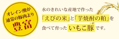 【訳あり】いもこ豚（彩） 5種盛り バラエティセット 合計2.16kg バラスライス こま切れ ロース 肩ロース しゃぶしゃぶ スライス 豚ミンチ 豚肉 いもこ豚 セット 詰合せ 冷凍 宮崎県産 九州