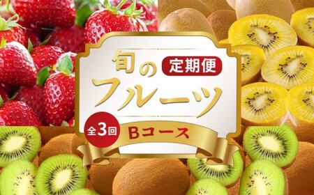 旬のフルーツ 定期便 3回 Bコース フルーツ 定期便
