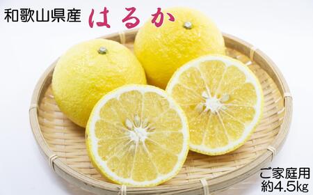 和歌山県産 はるかみかん 約4.5kg（サイズ混合　ご家庭用）みかん［TM161］