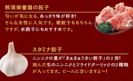 宇都宮餃子 運気アップ餃子  ニンニクマシマシ スタミナ餃子 90個 保存料不使用【冷凍餃子 ぎょうざ ギョウザ にんにく 冷凍食品 惣菜 栃木県 宇都宮市 】※配送不可地域：離島