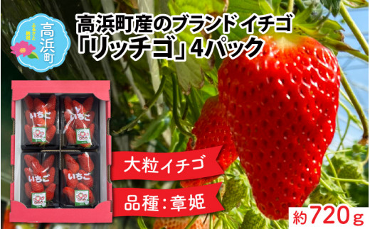 【先行予約】【2025年3月第4週目より順次お届け】発送時期が選べる！福井県高浜町産のブランド生いちご【リッチゴ】約720g