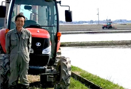 【令和7年産】新潟県産 純米コシヒカリ 30kg（5㎏×6袋） さいとう農園 白米 精米 米 こめ ごはん コシヒカリ こしひかり 1G20091