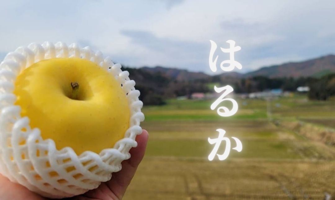 
            【数量限定】りんご「はるか」約3㎏ 12月23日決済完了まで年内発送
          