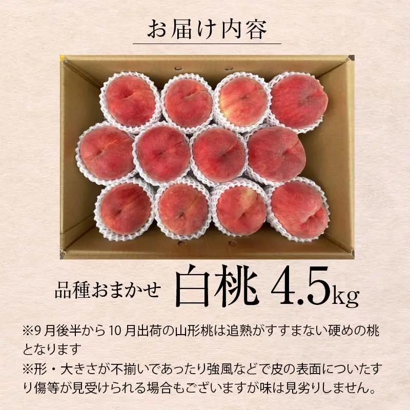 山形県産 白桃 ご自宅用 品種おまかせ 4.5kg もも フルーツ 【FSY-2742】