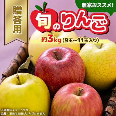 【ふるさと納税】贈答用【2025年8月～10月発送】農家おススメ!旬のりんご約3kg(9玉～11玉入り)(冷蔵)【配送不可地域：離島】【1222610】