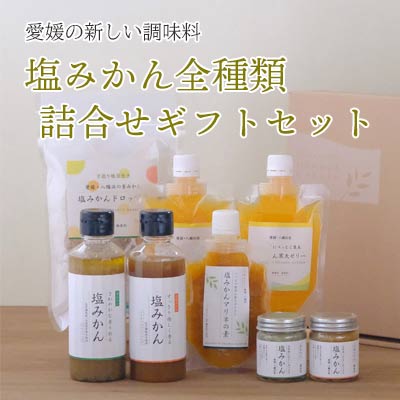 【ふるさと納税】みかんがふわっと香る愛媛の新しい調味料 塩みかん全種詰め合わせセット【D25-81】_【1305615】 YWTAP042