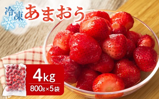 急速冷凍！人気のあまおう 冷凍いちご 大容量4kg【JAほたるの里】_HA1514