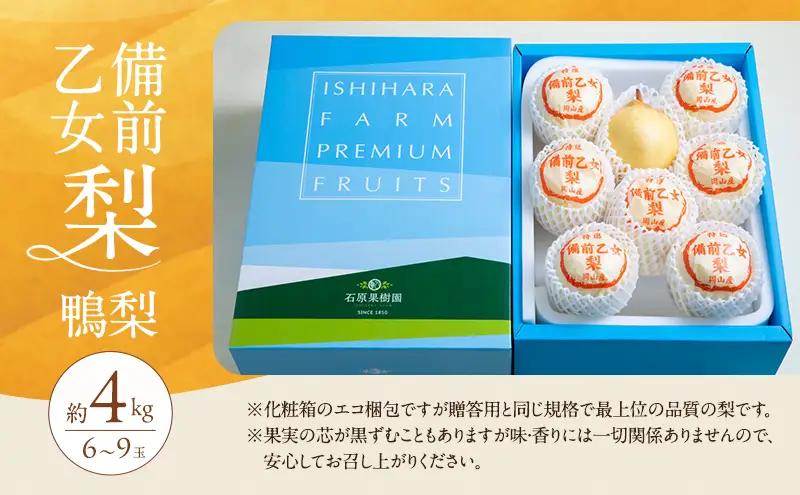 梨 フルーツ 備前乙女梨 鴨梨 岡山県産 梨【6～9玉 約4kg】【先行予約】