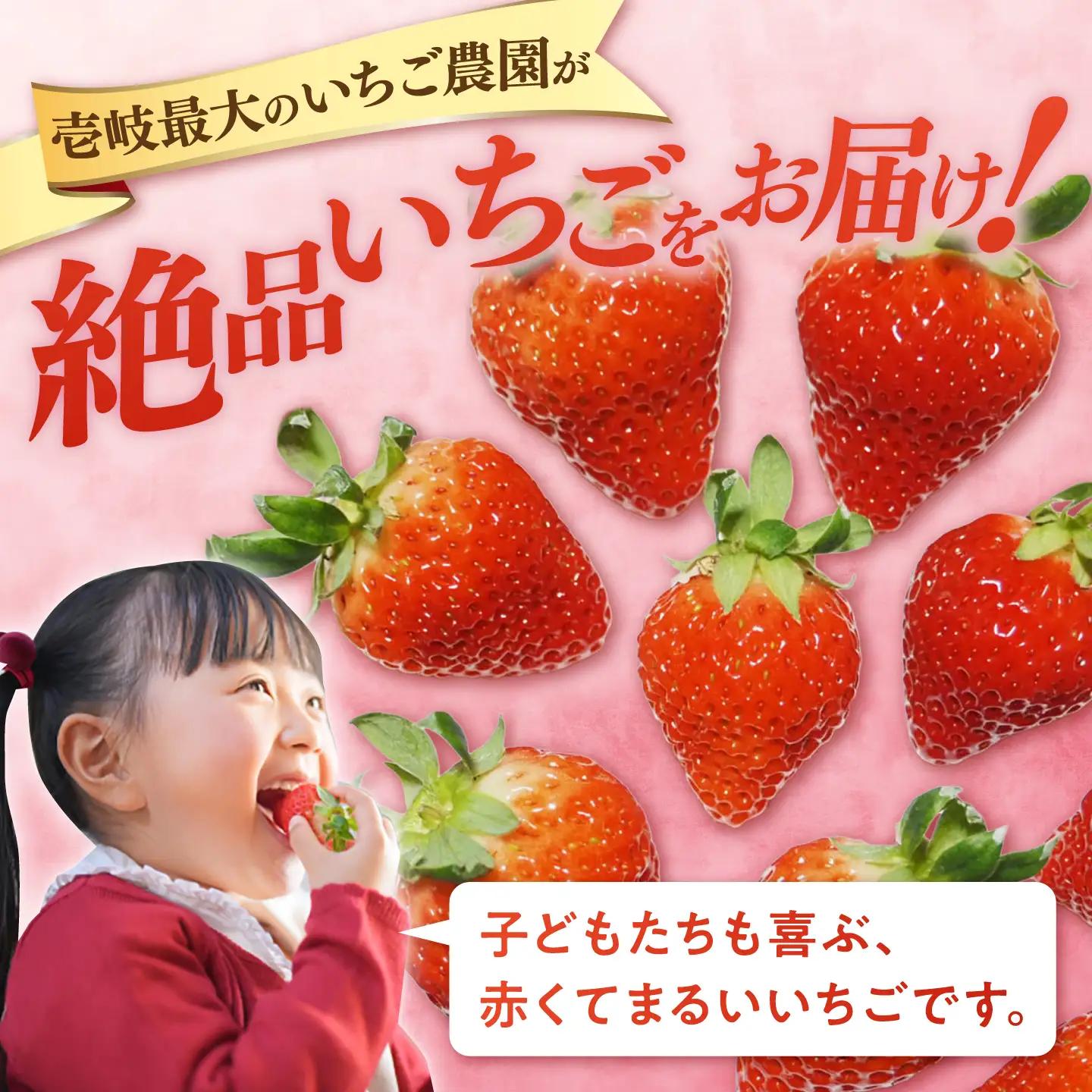 【先行予約】【訳あり/簡易包装】ゆめのか 250g × 2パック【2027年1月以降順次発送】 [JEM006] いちご 苺