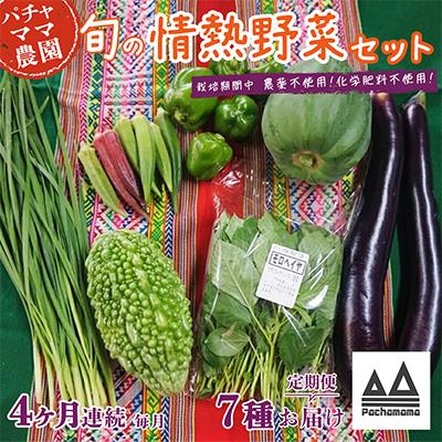 ふるさと納税 下妻市 【毎月定期便】農園自慢の情熱野菜セット7品(種類おまかせ)全4回