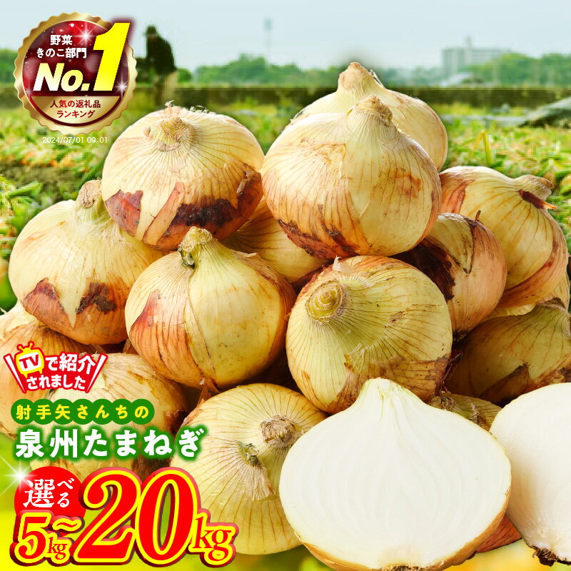 【ふるさと納税】1位獲得 高評価☆4.61 射手矢さんちの 泉州たまねぎ 5kg / 10kg / 20kg 玉ねぎ 甘い 野菜 肉厚 水分多い 国産 M級以上 期間限定 新たまねぎ オニオン サラダ カレー バーベキュー BBQ 肉じゃが 泉佐野市 送料無料