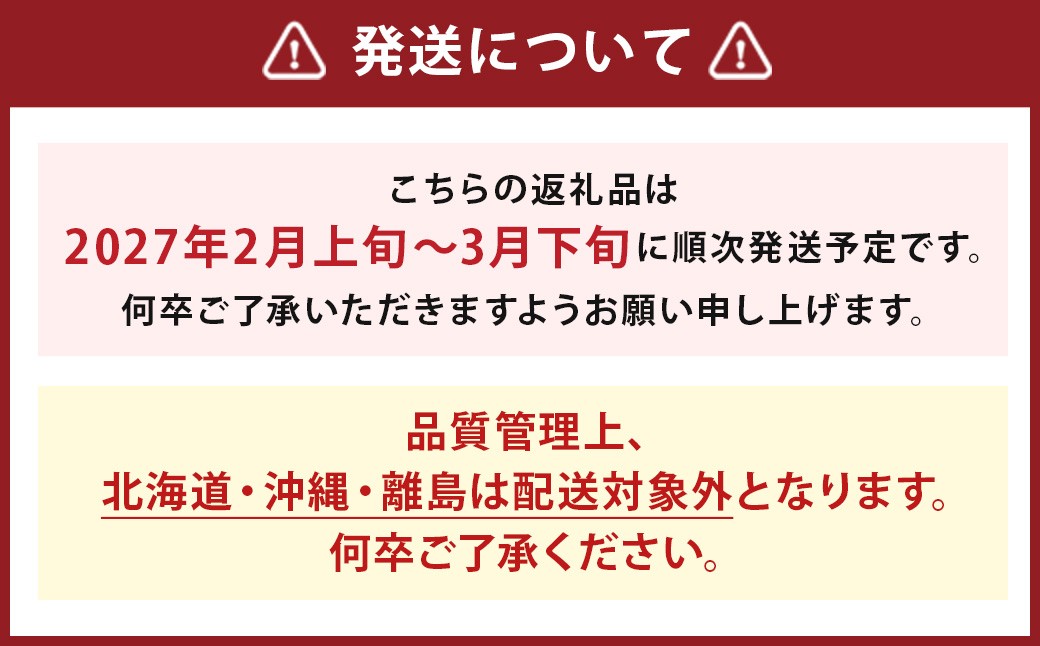 いちご 「あまおう」 約270g×6パック 計約1620g