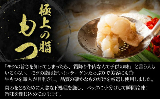 【2026年7月配送】5～6人前 絶品塩もつ鍋セット（600g）【B-1003-PE(7)】