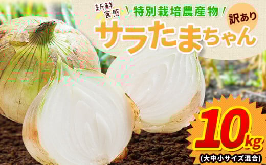 訳あり サラたまちゃん 新玉ねぎ 10kg 《1-5営業日以内に出荷予定(土日祝除く)》熊本県 葦北郡 津奈木町 野菜 たまねぎ エコファーマー 大中小サイズ混合 特産品 サラたまちゃん サラダ玉ねぎ 玉ねぎ タマネギ