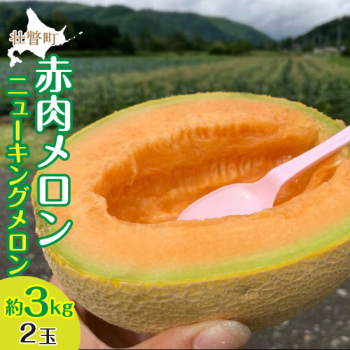 ＜2025年7月下旬よりお届け＞北海道壮瞥産 赤肉メロン（ニューキングメロン）2玉 約3kg SBTN003