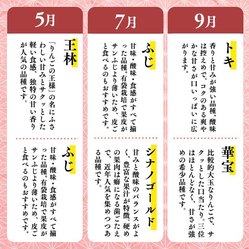 【5月発送開始】隔月配送　定期便3回　特選　甚八りんご　5kg　【青森県 平川市 マルジンサンアップル】