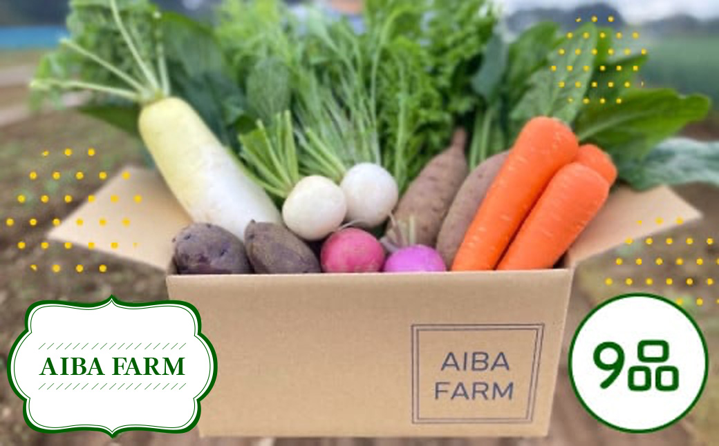 【栽培期間中農薬不使用】農家直送！季節の新鮮野菜「９品」詰め合わせセット AIBA FARM TML001 / 野菜セット 無農薬 野菜 千葉県 富里市 直送野菜 お野菜セット 旬野菜 季節野菜 農家直送 採れたて とれたて やさい 詰め合わせ セット ヤサイ 旬の野菜 季節の野菜 産地直送 詰め合わせ おまかせ 新鮮 農薬不使