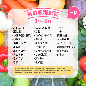 野菜 旬野菜 新鮮  詰め合わせ 竜王産 滋賀県 竜王町 産地直送 送料無料