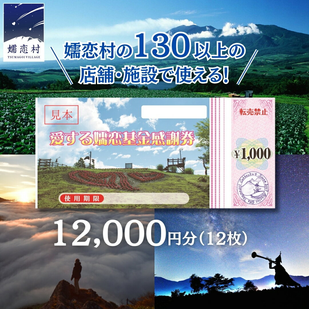 【ふるさと納税】 嬬恋村 で使える 感謝券 12000円 分 観光 旅行券 宿泊券 旅行 温泉 スキー ホテル 旅館 クーポン チケット 宿泊補助券 トラベル 寄附額40000円 関東 群馬 北軽井沢エリア 万座温泉 鹿沢温泉 浅間高原 バラギ