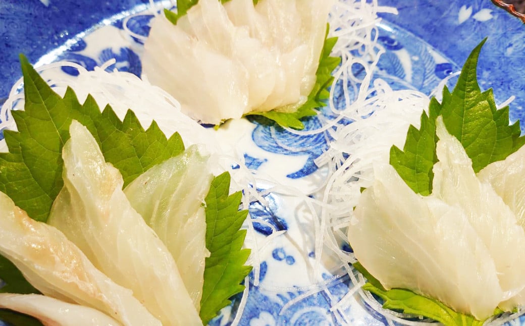 丸ごと1匹お届け！長崎近海 天然アラ (クエ) 8kg台 (8.2〜8.8kg、12〜15人前) ／ 魚 鮮魚 魚介 海鮮 高級魚 くえ あら 血抜き 鍋 刺身 大将農園 長崎県 長崎市 【2025年