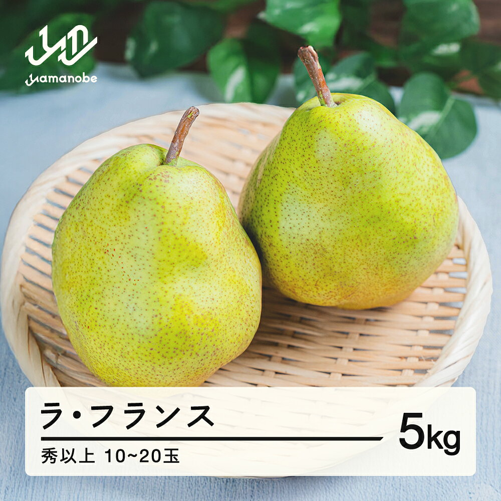 【ふるさと納税】《先行予約》2026年 山形県産 西洋梨（ラ・フランス）約5kg・秀以上（10〜20玉）2026年11月上旬頃順次発送 果物 くだもの フルーツ 秋果実 ラフランス 送料無料 F20A-073