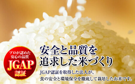 【全6回定期便】 【令和7年産米】 米 こしひかり 10kg 白米 お米 ご飯 コシヒカリ 三次市/アグリ君田[APDC008]