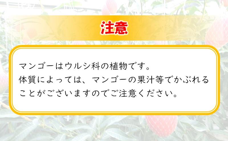 【先行予約】杉田農園 訳あり 西都市産 ご家庭用完熟マンゴー（２玉～3玉） 生産者直送 宮崎マンゴー　2026年発送＜1.3-25＞