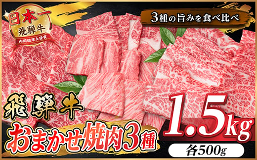 
                  飛騨牛　おまかせ焼肉3種セット1.5kg(各約500g)訳あり　BBQ　上カルビ・ロースなど【1739042】
                