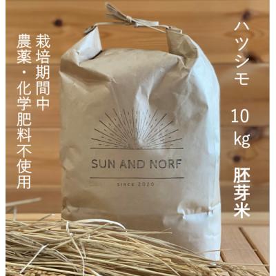 ふるさと納税 養老町 【令和7年産】初霜(源種)胚芽米10kg　(栽培期間中農薬・化学肥料不使用)