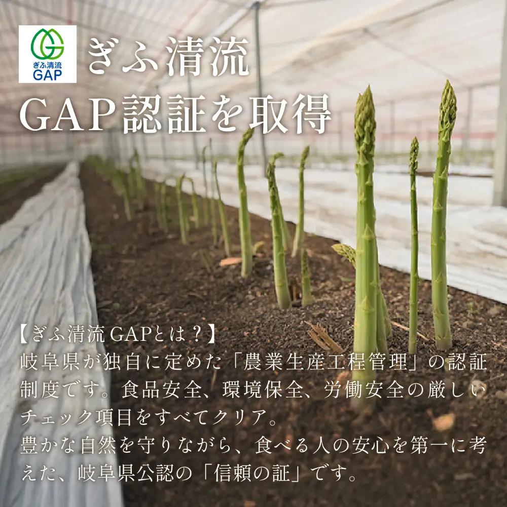 【期間限定】高級アスパラガス 隆至の龍 500g（約25本入り）レギュラーサイズ【119-3】