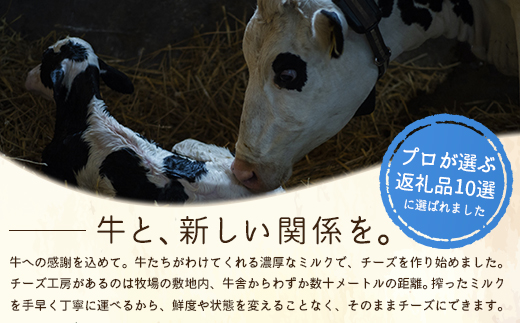 竹下牧場 takeshita farm【定期便３ヶ月】まるごとチーズセット 計560g【24002】_イメージ2