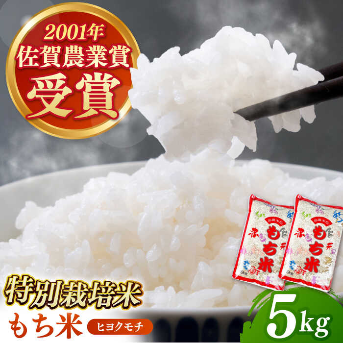 【ふるさと納税】令和8年産 新米 ももちゃんちのお米 ヒヨクモチ 精米 5kg 【ももさき農産】 [HCG008]