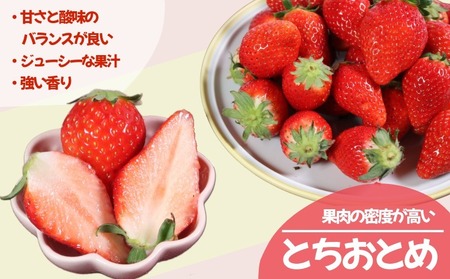 いちご 冷凍 とちおとめ やよいひめ 2kg いちご