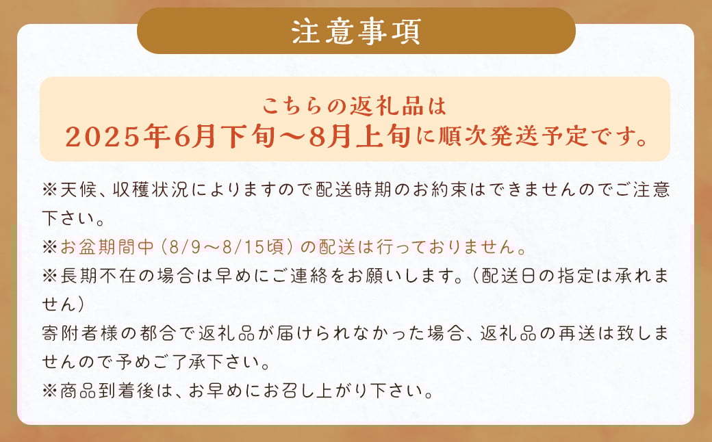数量限定 博多ピオーネ 約350g×4パック 計約1.4kg【2025年6月下旬～8月上旬発送予定】 ぶどう ブドウ 果物 フルーツ 福岡県産