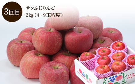 【先行予約 2026年度発送】♪フルーツ王国山形♪ 定期便3回 Fコース りんご リンゴ 林檎 デザート フルーツ 果物 くだもの 果実 食品 山形県 FSY-2561