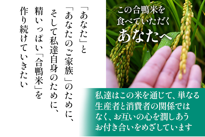 令和7年産 新米予約 合鴨米「ヒノヒカリ」（玄米・10kg）定期便12回コース　BI07　※2025年10月より順次出荷予定
