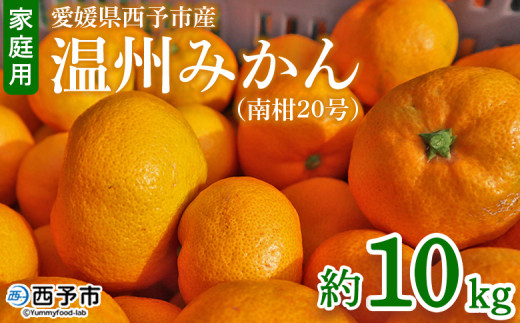 ＜愛媛県西予市産 温州みかん（南柑20号）家庭用 約10kg（サイズ不揃い・小傷あり）＞ 訳あり  果物 くだもの ミカン 柑橘 フルーツ 食べて応援 特産品 段畑みかん 愛媛県 西予市【常温】『2026年11月中旬～12月下旬頃迄に順次出荷予定』