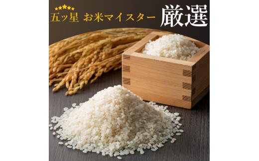 定期便 6ヶ月 ご飯パック 金賞 健康米 玄米・黒米  120g×12個入り 国産 レンチン もち麦 軽食 夜食 簡単 白米 麦 食物繊維 ビタミン 御飯 ごはん パック ご飯 パックライス 