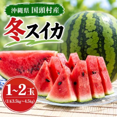 【ふるさと納税】【2027年2月中旬から順次発送】島袋さんの冬スイカ選べる 1～2玉(1玉あたり3.5～4.5kg)_ すいか スイカ 西瓜 冬スイカ フルーツ 甘い 国頭スイカ 島袋さん 沖縄 国頭村産 くにがみそん 国頭マージ やんばる 【配送不可地域：離島】【G1577664】