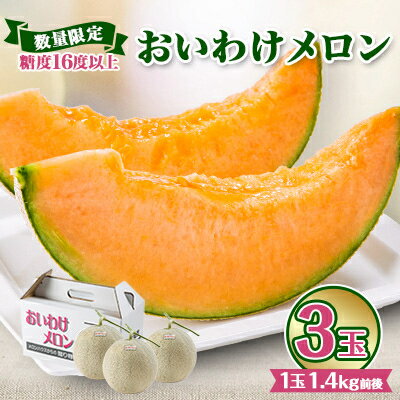 【ふるさと納税】【2025年発送】おいわけメロンパック 糖度16度以上 1.4kg前後×3玉(数量限定)【1137369】