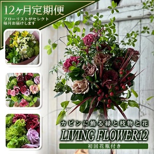 SL0234　【12回定期便】カビンに飾る緑と枝物と花 「LIVING FLOWER 12」
