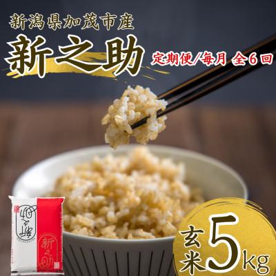 ふるさと納税 加茂市 【発送月固定定期便】【先行予約】新之助 玄米5kg　10月上旬より順次発送全6回