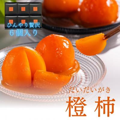 ふるさと納税 高森町 長野県高森町産市田柿を使用　夏のデザート「橙柿(だいだいがき)」6個