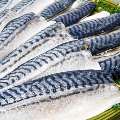 ふるさと納税 茨木市 【骨取り】無添加トロさばフィーレ 無塩 10切(約1.1kg)