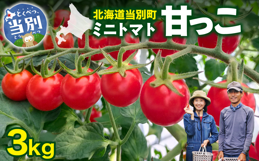 北海道当別町化学農薬不使用ミニトマト：甘っこ3kg_tb36-001
