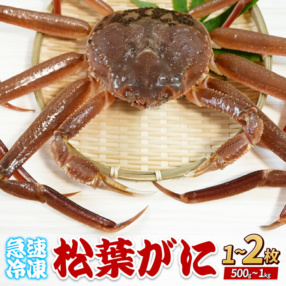 【ふるさと納税】先行予約 年内発送 松葉がに（冷凍）約500g 1～2枚｜鳥取 岩美 かに 松葉ガニ 年末年始 冷凍 生 プロトン凍結 急速冷凍 在庫限り